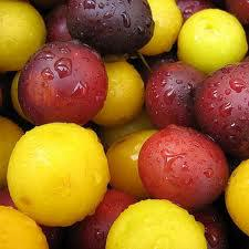 Plums