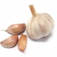 Garlic. Herbs For Flavor Also Protect Us